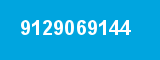 9129069144