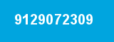 9129072309