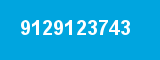 9129123743