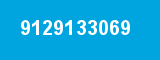 9129133069