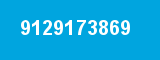 9129173869