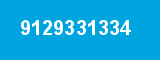 9129331334