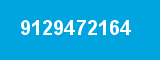9129472164