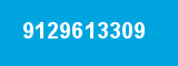 9129613309