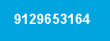 9129653164