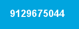 9129675044