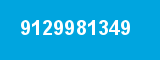 9129981349