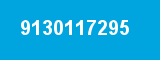 9130117295