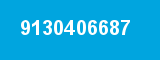 9130406687