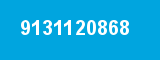 9131120868