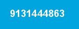 9131444863