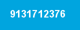 9131712376