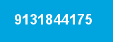 9131844175