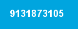 9131873105