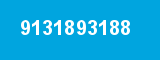 9131893188