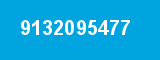 9132095477