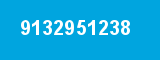 9132951238 9132951238