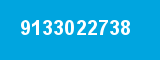 9133022738