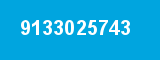 9133025743