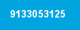 9133053125
