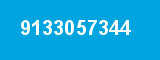9133057344