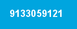 9133059121