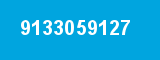 9133059127