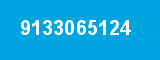 9133065124 9133065124
