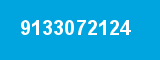 9133072124
