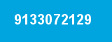 9133072129