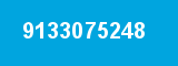 9133075248