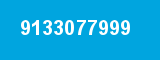9133077999