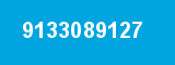 9133089127