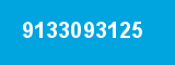 9133093125