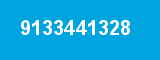 9133441328