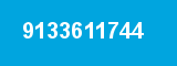 9133611744