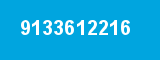 9133612216