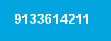 9133614211