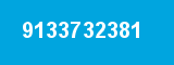 9133732381 9133732381