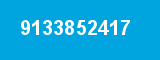 9133852417