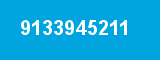 9133945211