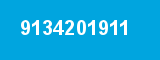 9134201911