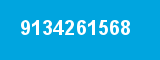 9134261568