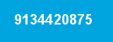 9134420875
