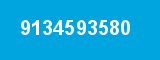 9134593580