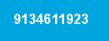 9134611923