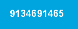 9134691465