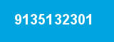 9135132301