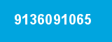 9136091065