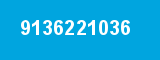 9136221036